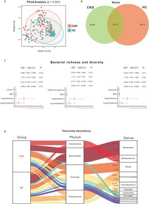 Alteration of the Gut Microbiome in Chronic Kidney Disease Patients and Its Association With Serum Free Immunoglobulin Light Chains